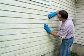 Best Custom Trim and Detailing for Siding  in Columbia, SC